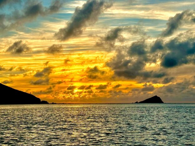 464083235_1104113451720941_8636143062427308060_n