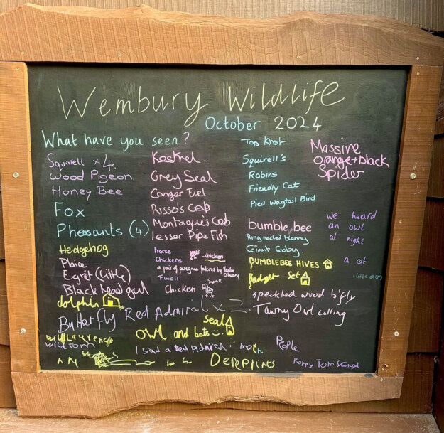 WildlifeBoardWEB