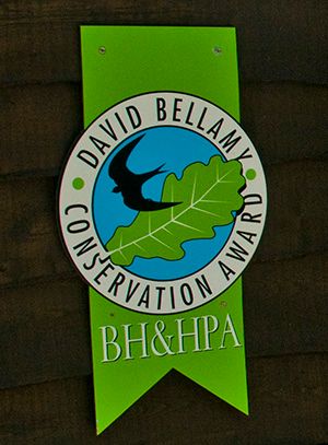 david_bellamy_award